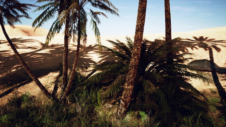 A vibrant oasis with tall palm trees stands in a sunlit desert. Shadows dance on the sandy ground, creating a tranquil atmosphere. Natures beauty shines brightly under the clear sky.の写真素材