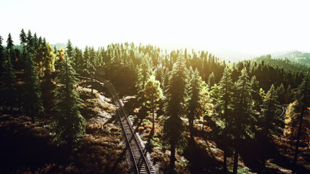 A beautiful railway snakes through a vibrant forest. Sunlight filters through trees, casting a warm glow on the landscape. Natures beauty is alive and thriving in this serene setting.の写真素材