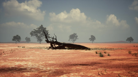 A dry and expansive landscape features a large, weathered log resting on cracked earth. Sparse vegetation and a few distant trees are visible against a backdrop of soft clouds in the sky.の写真素材