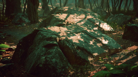 Rays of morning light filter through trees, illuminating large rocks covered in moss. The serene woodland is alive with soft shadows and the promise of a new day.の写真素材