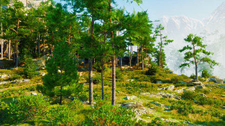 A vibrant forest scene unfolds with tall green trees towering over varied foliage. Sunlight streams through the leaves, illuminating the peaceful environment.の写真素材