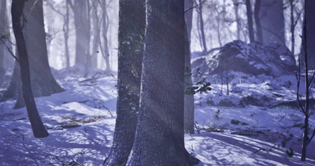 Tall trees stand in a forest blanketed by fresh snow, with soft light filtering through branches....