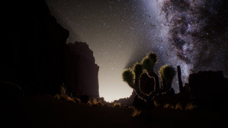 A stunning display of the night sky shines over an arid desert landscape, with a spotlight on a unique cactus silhouette, surrounded by rugged rock formations and twinkling stars.の写真素材