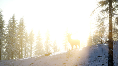 A graceful deer moves gently across a snowy hill, backlit by warm sunlight filtering through towering evergreen trees. The winter chill enhances the serene beauty of natures tranquility.の写真素材