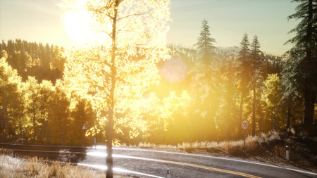 Golden sunlight bathes the landscape as vibrant leaves sway gently in the breeze. A winding road meanders through the forest, inviting exploration on this crisp autumn day.の写真素材