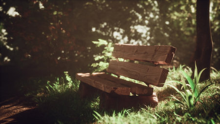 Sunlight filters through the trees, casting a warm glow on a wooden bench nestled in the forest. Green grass and plants frame the serene spot, perfect for relaxation or reflection.の写真素材