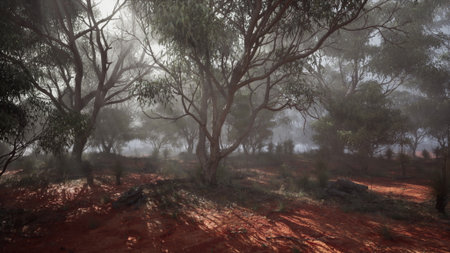 Sunlight breaks through the misty tangle of trees, casting soft shadows on the earthy ground. Nature awakens peacefully in a quiet, enchanting forest with rich textures.の写真素材