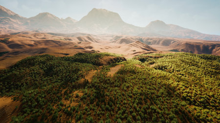 Lush green forests stretch across rolling hills at the base of towering majestic mountains. Golden sunlight casts a warm glow over the landscape, creating a serene atmosphere.の写真素材