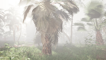 In a dense tropical jungle, soft fog weaves through towering palm trees, creating an enchanting and mysterious atmosphere. Sunlight gently filters through the leaves, highlighting the greenery.の写真素材