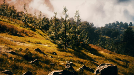 Golden sunlight bathes the hilly landscape, highlighting lush green trees amidst rocky ground. The sky features gentle clouds, creating an enchanting evening atmosphere.の写真素材
