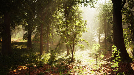 In a quiet forest, golden sunlight streams through the trees. Shadows dance on the ground,...