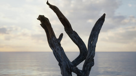 A striking display of dry tree branches rises above calm ocean waters as the sun sets. The sky is painted in soft hues, creating a peaceful atmosphere in natures beauty.の写真素材