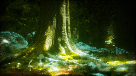 Tall trees stand majestically in a quiet forest, their roots embraced by moss and soft light. Sunbeams create a magical atmosphere among the lush greenery and scattered stones.の写真素材