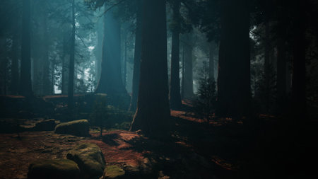 Shadows dance among tall trees in a serene forest, where soft light filters through the branches....