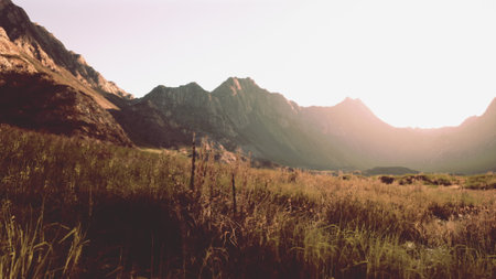Warm sunlight bathes the tranquil landscape as mountains rise in the background. Gentle grasses sway in the breeze, creating a peaceful scene at dusk, inviting natures harmony.の写真素材