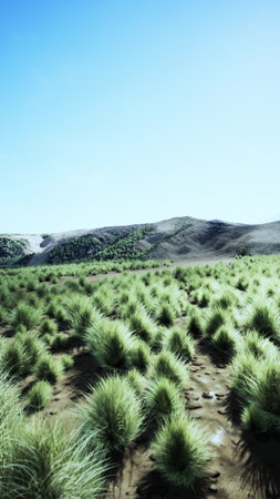 Lush grass stretches across the landscape, with a gentle slope rising in the background. Bright blue sky adds a peaceful feeling to this natural scene, perfect for a quiet day outdoors.の写真素材