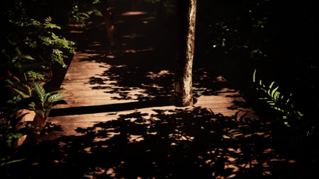 As twilight settles, shadows created by leafy plants and tree trunks gracefully paint the wooden path. The serene atmosphere invites a quiet moment in natures embrace.の写真素材