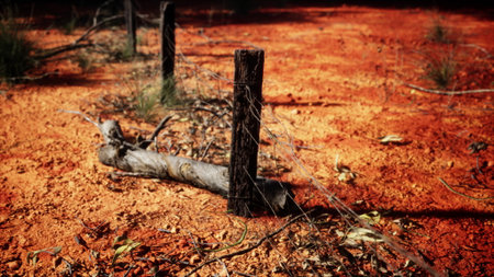 A weathered wooden post stands resilient amidst the striking red soil of a rural landscape. Surrounding vegetation adds a touch of natures artistry, capturing a moment of tranquility.の写真素材