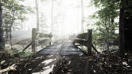 Soft light filters through the trees as mist lingers in the air, revealing a charming wooden bridge. Natures tranquility invites exploration of this beautiful forest path.の写真素材