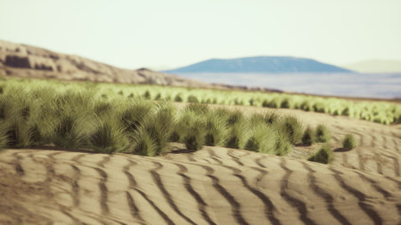 Lush green plants thrive on rolling sand dunes, contrasting beautifully with the beige terrain. A serene body of water sparkles in the distance against a clear blue sky.の写真素材