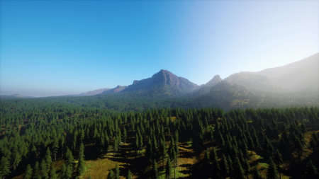 Beneath a clear blue sky, a stunning mountain rises over a vast forest. Sunlight spills across the trees, creating a peaceful and serene atmosphere in this breathtaking natural landscape.の写真素材