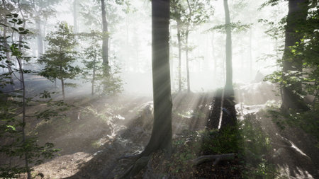 Sunlight bursts through the mist in a tranquil forest, illuminating the verdant trees and soft...