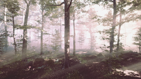 Soft beams of light pierce through a lush green forest, illuminating the tranquil surroundings. The early morning air is fresh and calm, bringing a sense of peace to natures beauty.の写真素材