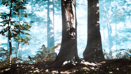 In a serene forest, two majestic trees rise from the ground, their trunks etched with texture. Soft light filters through the branches, creating an enchanting atmosphere filled with tranquility.の写真素材