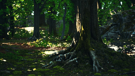 In a peaceful forest, sunlight filters through lush green leaves, casting shadows on the ground. The...