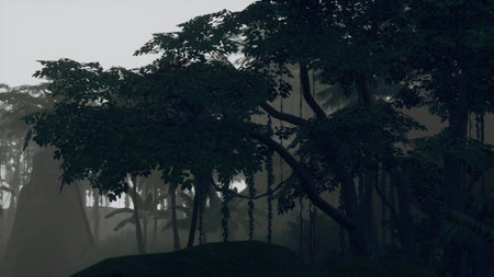 A tranquil morning scene unfolds in a lush jungle, where tall trees are shrouded in mist. Soft light filters through foliage, creating an enchanting atmosphere of natures beauty.の写真素材