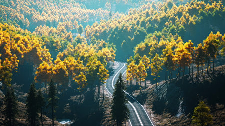 A peaceful road twists through a vibrant forest during autumn. Trees are adorned with bright yellow and orange leaves, offering a serene landscape bathed in soft sunlight.の写真素材