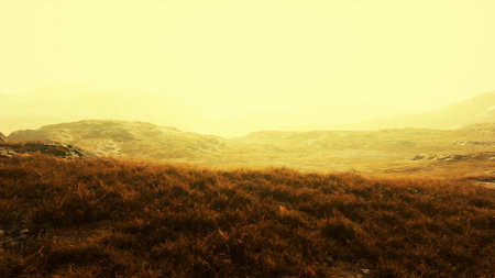 A tranquil valley stretches out under a golden haze, with soft grass swaying gently. Faint mountains rise in the background, creating a peaceful atmosphere at dawns early light.の写真素材