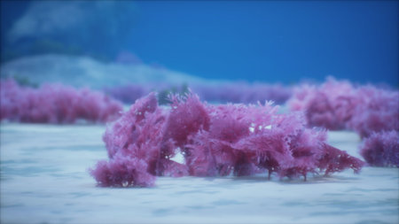 Under the calm surface of the ocean, lush pink coral formations stretch across the sea floor. Sunlight filters down, illuminating the vibrant colors of this underwater paradise.の写真素材