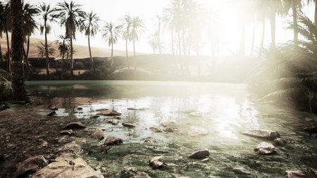 Golden sunlight reflects off clear water in a serene oasis. Lush palm trees stand tall against a desert backdrop, creating a peaceful escape from the heat of the day under a bright sky.の写真素材