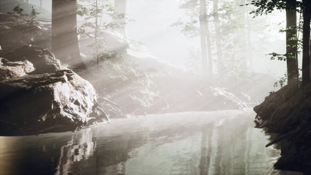 Sunlight breaks through the canopy of trees in a misty forest, illuminating a tranquil river. The serene waters reflect the natural beauty of the surrounding wilderness.の写真素材