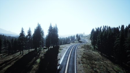A serene winding road cuts through a lush green forest filled with tall trees. The bright blue sky provides a perfect backdrop for this peaceful nature scene, inviting exploration.の写真素材