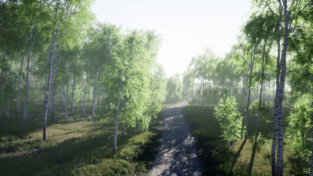 Gentle sunlight filters through vibrant green trees along a winding dirt path. A peaceful atmosphere invites exploration and connection with nature in this tranquil forest setting.の写真素材