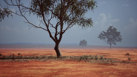 Beneath a vast blue sky, a solitary tree stands in a dry desert landscape, highlighting the rugged beauty of the arid environment. Distant trees create a serene backdrop.の写真素材