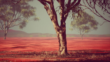 A breathtaking scene unfolds in a vast arid landscape, showcasing a sturdy tree surrounded by red earth. Sparse vegetation hints at resilience amidst the dry surroundings.の写真素材