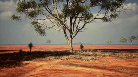 A lone tree stands in the middle of a sprawling red terrain, surrounded by sparse vegetation. The bright blue sky overhead creates a stunning contrast with the earthy tones of the land.の写真素材