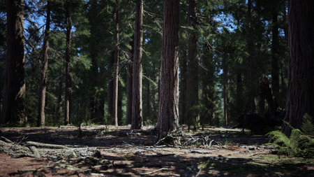Tall trees rise majestically in a dense forest, their green canopies providing shade. Sunlight...