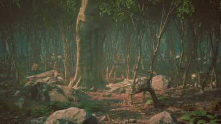 In a tranquil forest, towering trees stand amidst a bed of stones and vibrant green plants. Shadows play across the ground as sunlight barely penetrates the thick canopy above.の写真素材