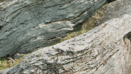 Large, intricately shaped gray rocks emerge from lush green grass, showcasing the beauty of natural erosion under a clear blue sky. The scene is calm, inviting exploration and reflection.の写真素材