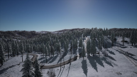 Tall trees covered in fresh snow create a stunning winter scene. Winding roads snake through the landscape under a clear blue sky, offering a perfect view of natures beauty.の写真素材