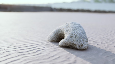 A distinct coral piece lies on a smooth sandy surface as the sun sets in the background, casting soft light and gentle shadows across the beach. Natures beauty is truly captivating.の写真素材