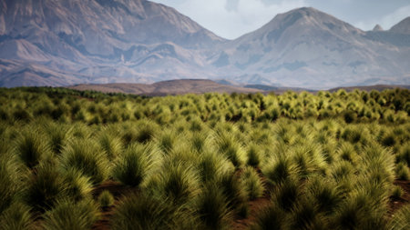 Vast fields of vibrant green grass stretch towards the horizon, framed by majestic mountains under a clear sky, creating a peaceful and stunning natural scene.の写真素材