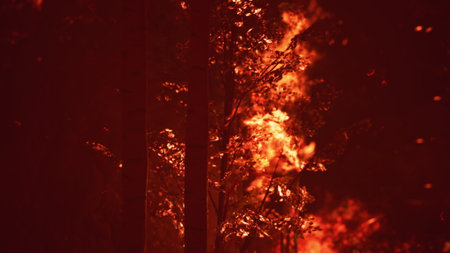 Fiery flames rise high among the dark silhouettes of trees, as a wildfire rages. The orange glow...
