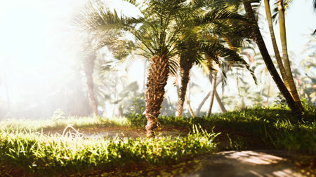 In a vibrant tropical setting, sunlight streams through tall palm trees, casting gentle shadows on the lush green grass. A serene atmosphere invites exploration and tranquility amidst nature.の写真素材