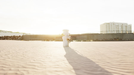 As the sun sets near the coast, shadows stretch across the sandy beach, creating a tranquil scene. A lone figure stands, surrounded by gentle waves and tranquil light.の写真素材