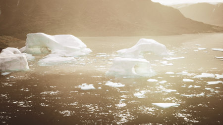 Golden sunlight reflects off the calm water as large icebergs float majestically. The serene Arctic...